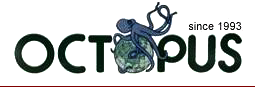 octopus